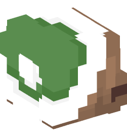 Minecraft head — People