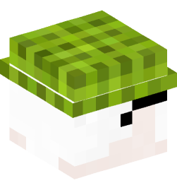 Minecraft head — People