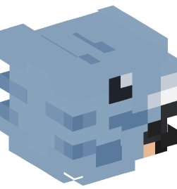 Minecraft head — People