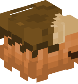 Minecraft head — Creatures