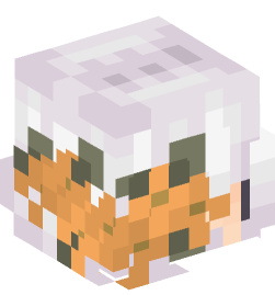 Minecraft head — People