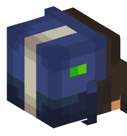 Minecraft head — People