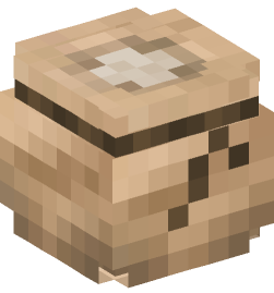 Minecraft head — Decor