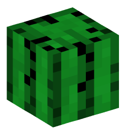 Minecraft head — Blocks