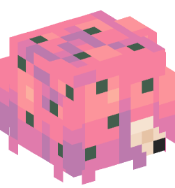 Minecraft head — People