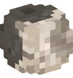 Minecraft head — Decor