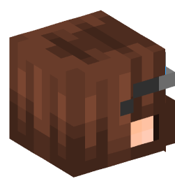 Minecraft head — People