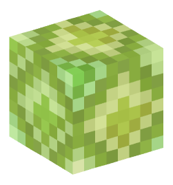 Minecraft head — Blocks