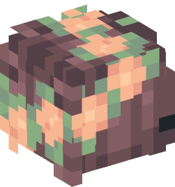 Minecraft head — People