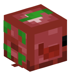 Minecraft head — Animals