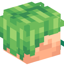 Minecraft head — People