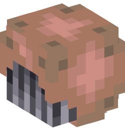 Minecraft head — Creatures