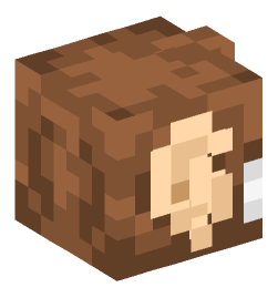 Minecraft head — Animals