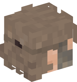 Minecraft head — People