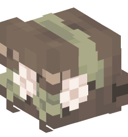 Minecraft head — People