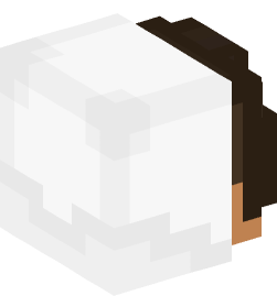 Minecraft head — People