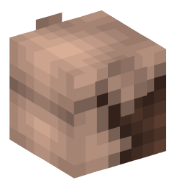 Minecraft head — Animals