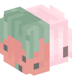 Minecraft head — People