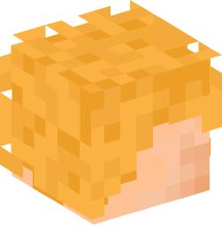 Minecraft head — People