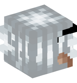 Minecraft head — People