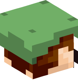 Minecraft head — People