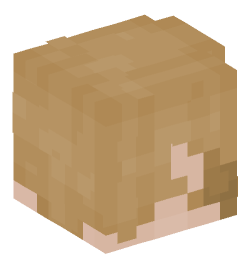 Minecraft head — People