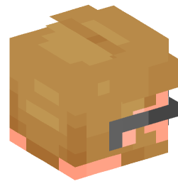 Minecraft head — People