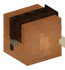 Minecraft head — Creatures