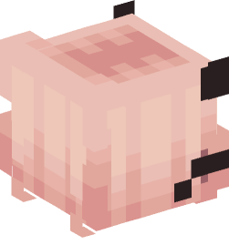 Minecraft head — Creatures