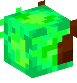 Minecraft head — Creatures