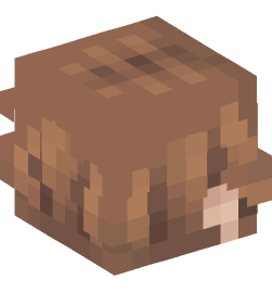 Minecraft head — People