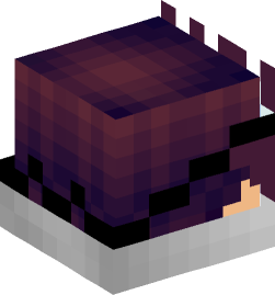 Minecraft head — People