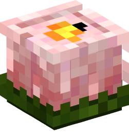 Minecraft head — Decor