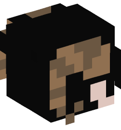 Minecraft head — Creatures