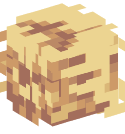 Minecraft head — Decor