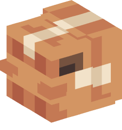 Minecraft head — Decor