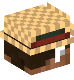 Minecraft head — People