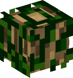 Minecraft head — Decor