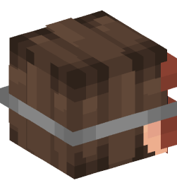 Minecraft head — People