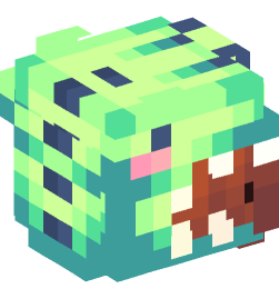 Minecraft head — People