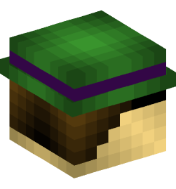 Minecraft head — People