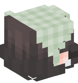 Minecraft head — People