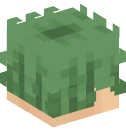 Minecraft head — People