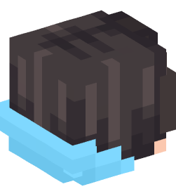 Minecraft head — People