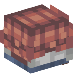 Minecraft head — Decor