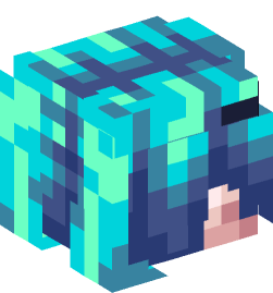 Minecraft head — People