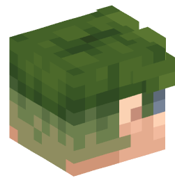 Minecraft head — Creatures