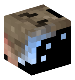 Minecraft head — Decor