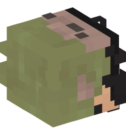 Minecraft head — People