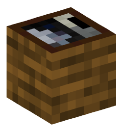 Minecraft head — Decor